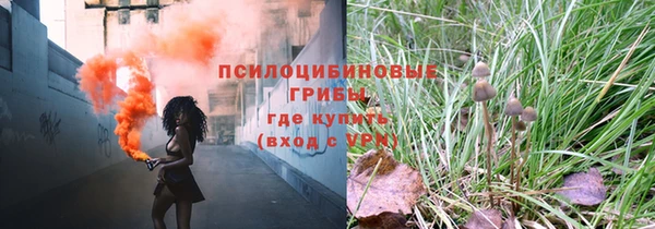 твердый Костерёво