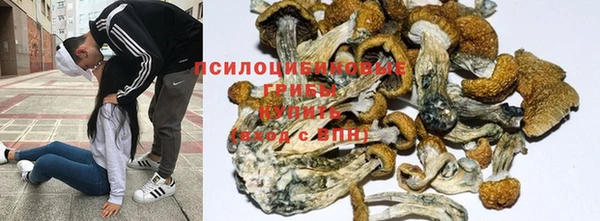 бошки Красноперекопск