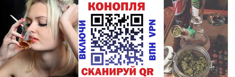 Купить закладки  Котово  Бошки Шишки планчик 