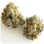 Шишки "White Widow"  (Белая вдова)  Гидропоника -  Бошка VHQ в Котово