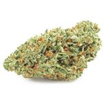 Шишки OG Kush  (Гидропоника, бошки) VHQ в Котово